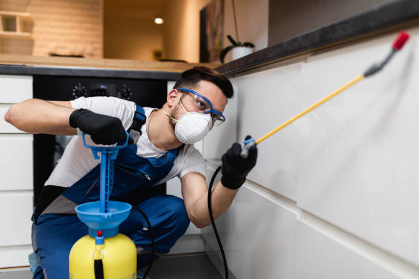 Best Rat Extermination Near Me  in , MD