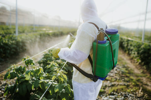 Best Best Pest Control Companies  in , MD